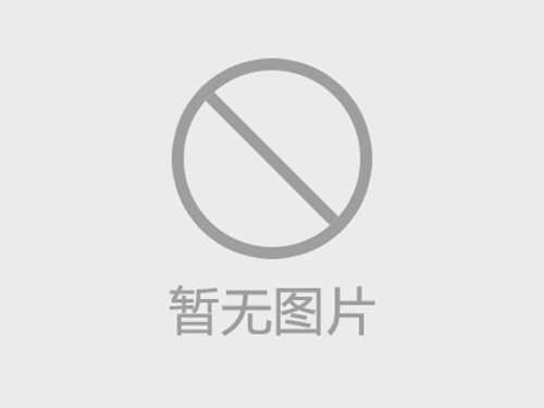定制 彈性緩沖墊聯(lián)軸器膜片304不銹鋼301彈性鋼片連軸器疊片組撓性DSJM